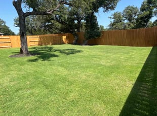 Rachel H.'s Lawn Mowing Service service result