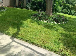 Nick R.'s Lawn Mowing service result