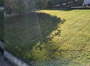 Dan M.'s Lawn Service service result