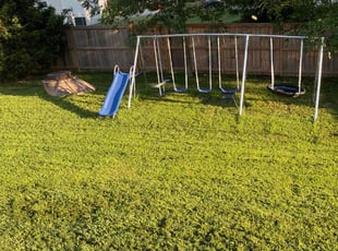 Alexia R.'s Lawn Service service result