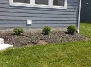 Bush Trimming by Daniel Bunch for Michael M. in Hilliard, OH
