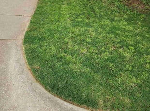 Ed C.'s Lawn Care service result