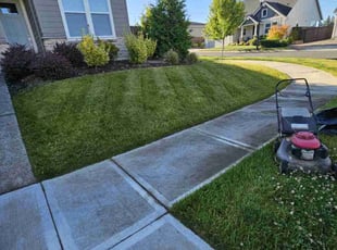 Annamarie B.'s Lawn Service service result