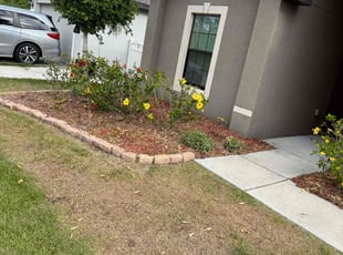 Weeding by Arely Elrod for Lawrence C. in Ruskin, FL
