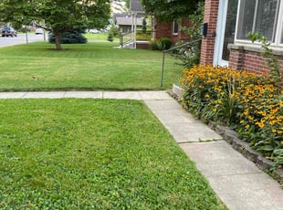 Yihui Z.'s Yard Cutting service result