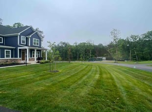 Yvonne T.'s Lawn Mowing Service service result