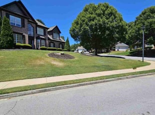 Hyunhye H.'s Lawn Mowing service result