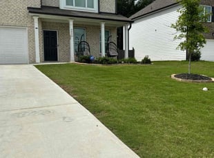 Terry S.'s Lawn Mowing Service service result