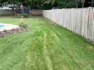 Khalil W.'s Lawn Mowing Service service result