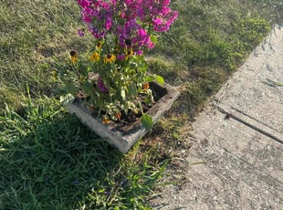 Landscaping by Adolfo Sanchez for Diana L. in Indianapolis, IN
