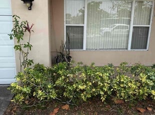 Bush Trimming by Harold Cummings for Troy Hill Rentals A. in Melbourne, FL