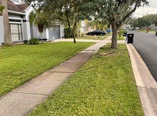 Edwin M.'s Lawn Mowing service result