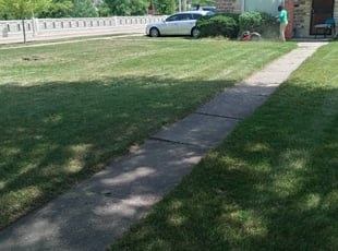 Bush Trimming by Archie Lockwood for Nikki l. in Milwaukee, WI
