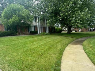 Kamilah W.'s Grass Cutting service result