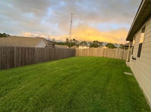 Terry L.'s Lawn Mowing service result