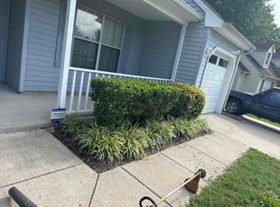 Chriss E.'s Bush Trimming service result