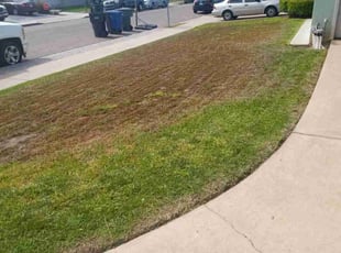 Fatima A.'s Lawn Service service result