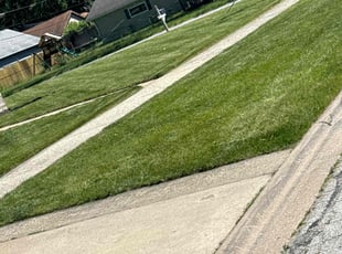 Jennifer R.'s Grass Cutting service result