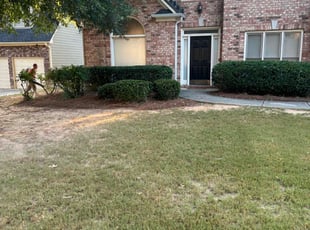 Ania S.'s Bush Trimming service result