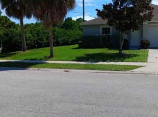 Bill M.'s Lawn Maintenance service result