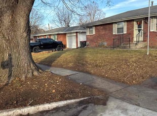 Darletha M.'s Grass Cutting service result