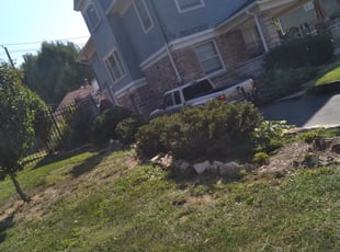 Bush Trimming by Julio Almestica for Troy H. in Kansas City, MO