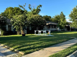 Emily L.'s Grass Cutting service result