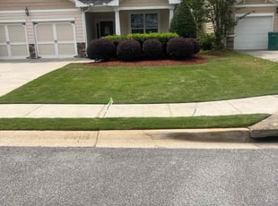 Vik K.'s Lawn Mowing Service service result