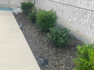 Holly P.'s Flower Bed Weeding service result