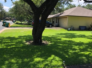Scott J.'s Grass Cutting service result