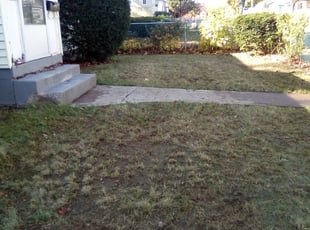 Leaf Removal by Savin Ungaro for Greg H. in Bristol, CT