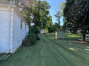 David L.'s Lawn Mowing service result