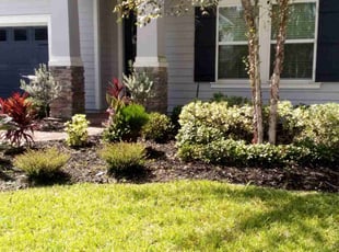 Steve B.'s Lawn Care service result