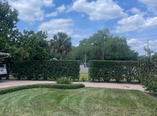 Bush Trimming by Ladarius Lathan for Diane A. in Winter Park, FL