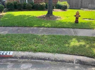 LeighAnn S.'s Lawn Care service result