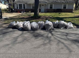 Leaf Removal by Andres Ruiz for Nicole J. in Virginia Beach, VA