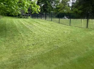 Yolanda M.'s Yard Cutting service result