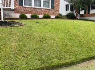 Raymond T.'s Lawn Mowing service result