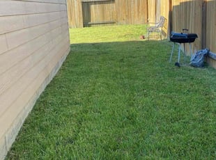 Tara P.'s Lawn Service service result