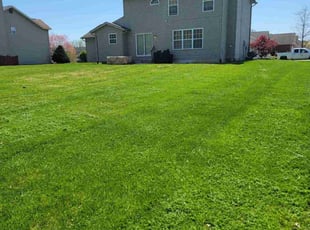 Brian D.'s Grass Cutting service result