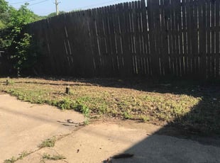 Leaf Removal by Gralin Johnson for Jimmy R. in Arlington, TX