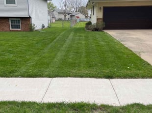 Jamar H.'s Lawn Care service result