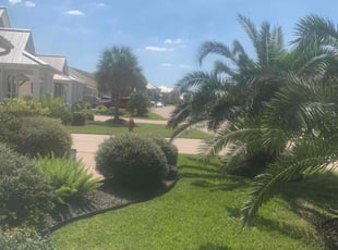 Amanda J.'s Grass Cutting service result