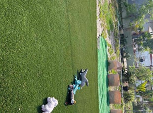 Charles G.'s Lawn Mowing service result