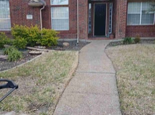 Leaf Removal by Valente Alvarado for MIchael K. in Irving, TX