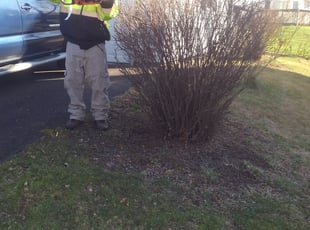 Bush Trimming by Jim Crossett for Greg W. in Fairfax, VA