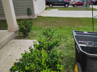 Bush Trimming by Thomas Rodriguez for Sarah C. in Maxwell, TX