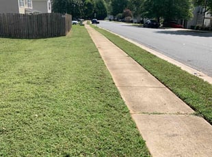Kyle P.'s Lawn Maintenance service result