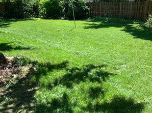 Clark C.'s Lawn Care service result