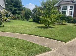 Carl S.'s Lawn Mowing service result
